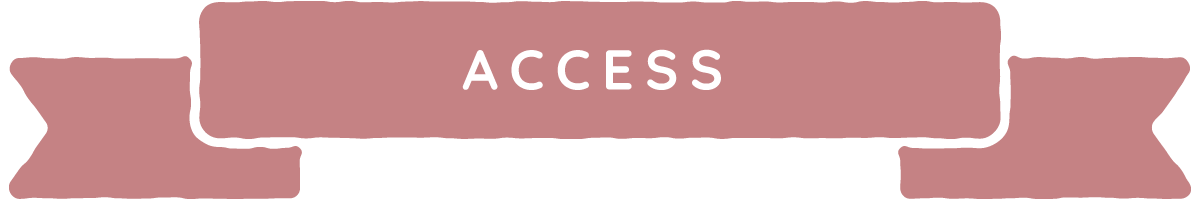 ACCESS
